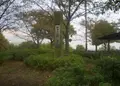 千島公園の写真_135004