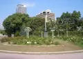中之島公園の写真_135113