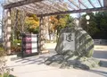大開公園の写真_135613