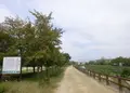 天野川緑地の写真_136445