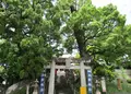 北岡神社社務所の写真_136521