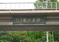 鶴舞公園の写真_136758
