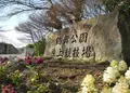鶴舞公園陸上競技場の写真_136764