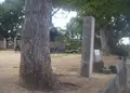 天王の森の写真_137237