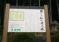 新松か井の水公園の写真_137250
