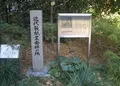 中之島５丁目３−５１の写真_138773