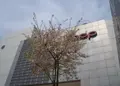 あべのＨＯＯＰの写真_140441
