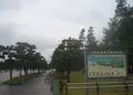浜寺公園の写真_144065
