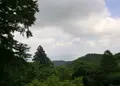 金剛山の写真_147095