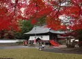 春日神社の写真_1493956