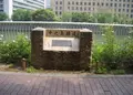 中之島遊歩道の写真_151083