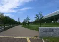 りんくう北公園の写真_151818