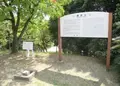 蘇鉄山の写真_154082
