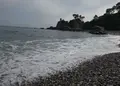 桂浜の写真_156577
