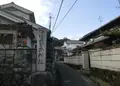鴨習太神社の写真_162087