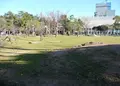 大垣公園の写真_162725