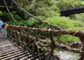 祖谷のかずら橋の写真_1641540