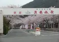 花巻温泉の写真_164539