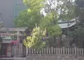 鵲森宮 （森之宮神社）の写真_165526