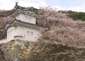 龍野城の写真_168986
