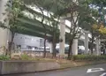 堂島公園の写真_172535