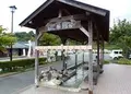 菊池温泉の写真_172766