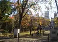 生玉公園の写真_173900