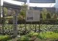 木津川飛行場跡の写真_174351