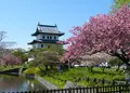 松前城の写真_175589