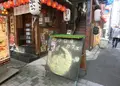 フクロウカフェ LUCKYOWLの写真_176686