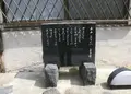 ああ新世界と東淵修氏の写真_176688
