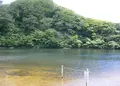 夜叉ヶ池の写真_178342