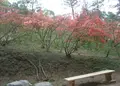寄居町役場 観光協会の写真_178830
