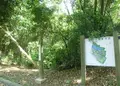 山田池公園の写真_178898