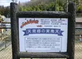 天見郷の実南天の写真_179629