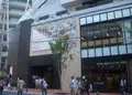 ＮＵ ｃｈａｙａｍａｃｈｉプラスの写真_181794