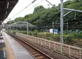 飛鳥山公園の写真_182312