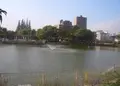 桃ヶ池公園の写真_183795