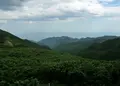 知床峠の写真_184510