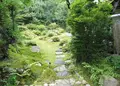 桂昌院の写真_184704