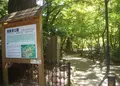 瑞宝寺公園の写真_188344