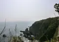 足摺岬の写真_189306