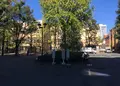 慶應義塾大学 三田キャンパスの写真_200908