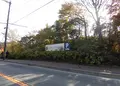 ROKKO森の音ミュージアムの写真_202466