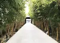梅窓院の写真_205912
