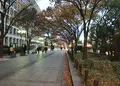 大阪市役所（ 大阪市役所本庁舎）の写真_207071