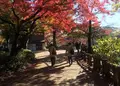 井の頭恩賜公園の写真_207345