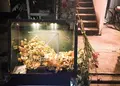プルミエ・エタージュ （1er ETAGE） の写真_208777