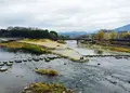 鴨川デルタの写真_209500