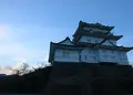 小田原城址公園の写真_210008